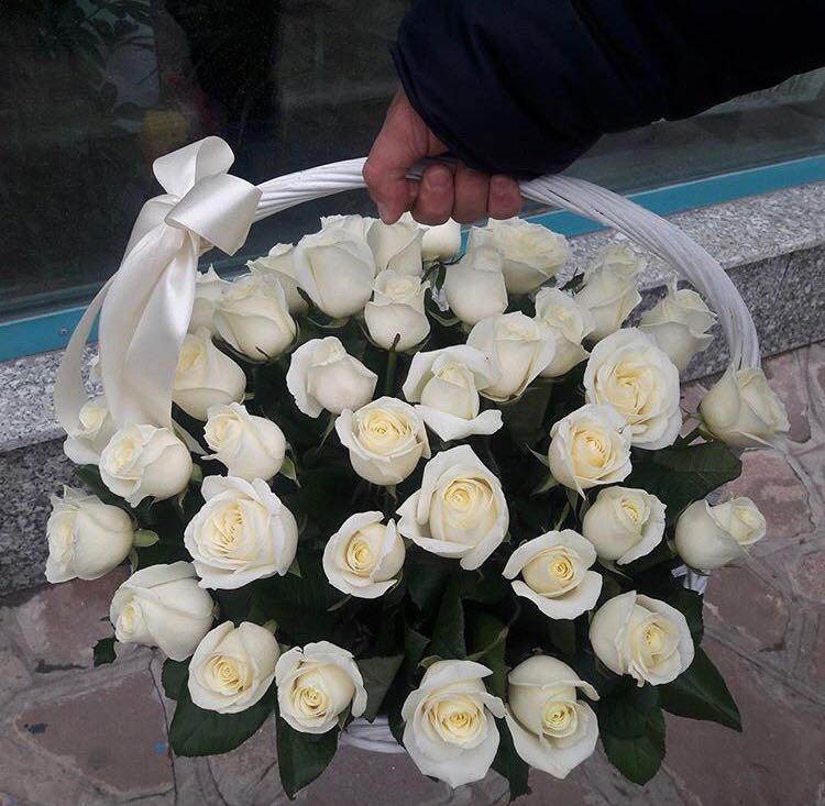 Корзина из 31 белой розы (Голландия)