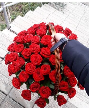 Корзина из 51 красной розы (Голландия)